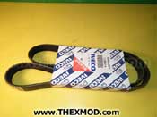 Belt - 504053661