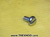 Screw 