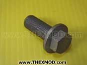 Screw - FT216401