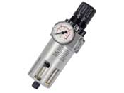 Regulator - Filter - 1/2 Inch - With Gauge