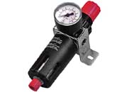 Regulator - Filter - 1/4 Inch (with Gauge)