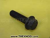 Screw - 10018173
