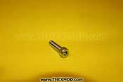 Screw M8 x 30 - BSI BS 4168 252NM42655TX