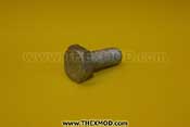 Screw - M10 - 25mm Lg