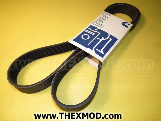 Belt V - 3911577-1