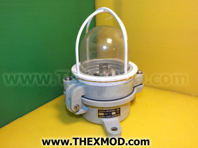 Pendent Light-1