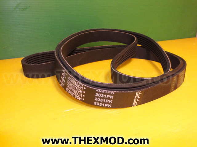 Belt - 2031PK-1