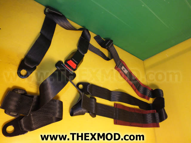 Belt - 3 Anchorpoints - FV2158891-1