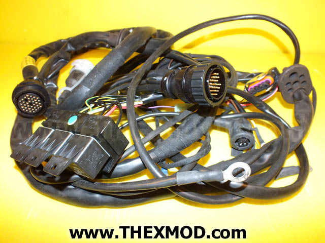Wiring Harness - 825.31.85.7004-1