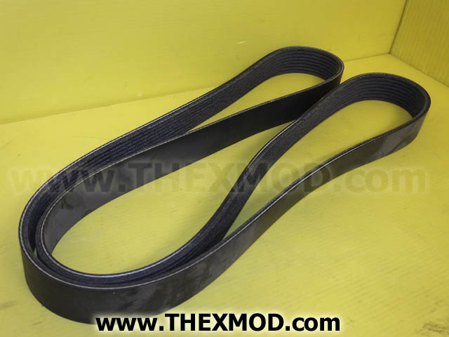 Snake Belt - 70-05-566-1