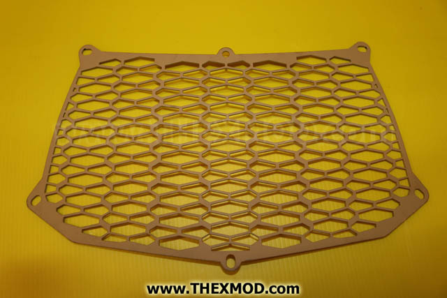 Grille - Radiator -1