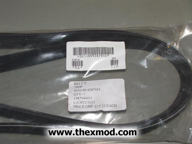 Belt V - 198-794-6031-1