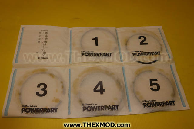 Kit - Piston Ring - 41158026-1
