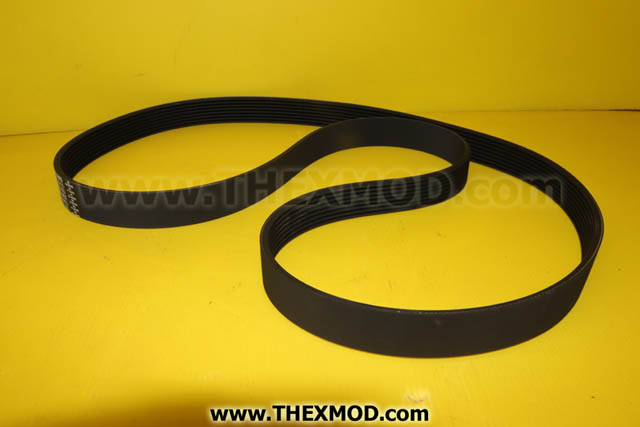 Belt - AS30235-1