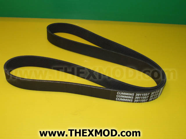 V Belt - 3903091-1