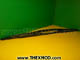 Blade Windshield Wiper - B-48141-1