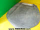 Cover Seat - Front - AWR5701RPI-1