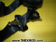 Seat Belt - HAH7320-2