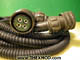 Wiring Harness - 12 ft 3 1/2 In Long - FV605190/1-3