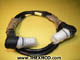 Wiring Harness - AS66766-1