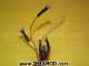 Cord - SD2/269448PD/2-3