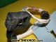 Cable - FV342526-2