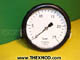 Gauge - F1G11-18-0-25BAR100M-1