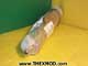 Heater Immersion - 1000 watts - 240v - D3TS-2