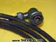 Cable - 300mm Long - 790654/0300/DG-3