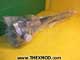 Steering Arm Shaft End - 7860900129-1