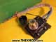 Socket - Jump Start - Intervehicle - K302063-1