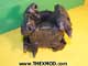 Universal Joint - FV932571-4