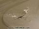 Panel - Roof - Fiber Glass -  Damaged-5