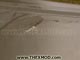 Panel - Roof - Fiber Glass -  Damaged-6