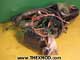 Wiring Harness - 91065032-1