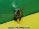 Jet - Screen wash - Twin - Metal-1
