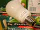 Bulb - 240V - 11W - Sylvania - Box of 10-3