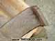 Spring - Leaf - 501566C93-2