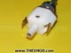 Switch - Igniter - 39554 / 8855638-2