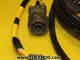 Wiring Harness - FV908983-4