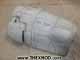 Cover - Engine - WG13500010-04656-1