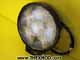 Light - Working - LED 12V / 24V - 6 * 3W - Durite : 0-420-45-1