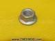 Nut  - FN110047-1