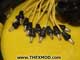 Cable - Trailer 12 Pin - FV166499-3