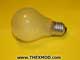 Bulb - 240V - 60W - Screw-2