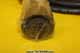 Cable - FV2159489-2