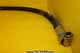 Hose - A4406052 4450.021 1203727-1