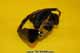 Sensor - Chrankshaft Pulse - 1021992-2