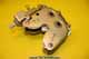 Latch - Mechanical - Hydraulic - Right Hand - FG50163-3