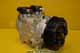Compressor - Rib 24V - 10003510-1